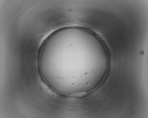 X0000111821460200908131511