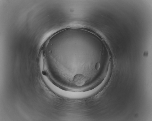 X0000111821461200908131511