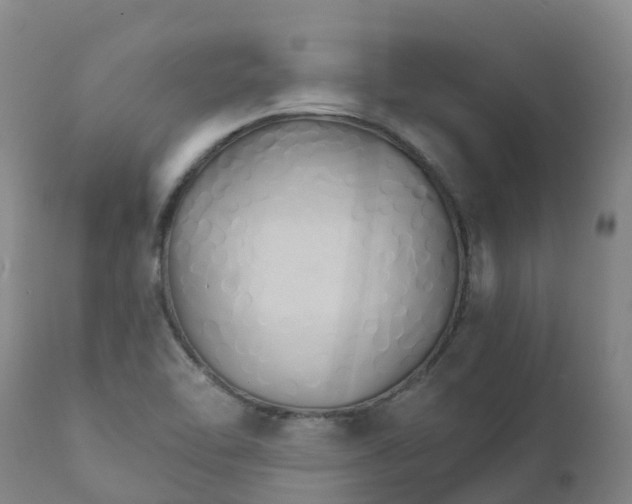 X0000111821462200908131511