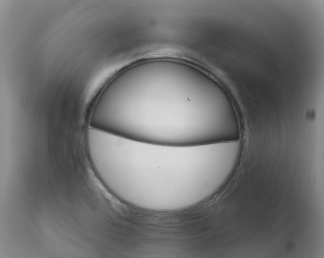 X0000111821464200908131511