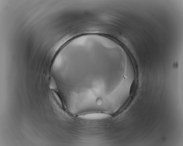 X0000111821465200908131511