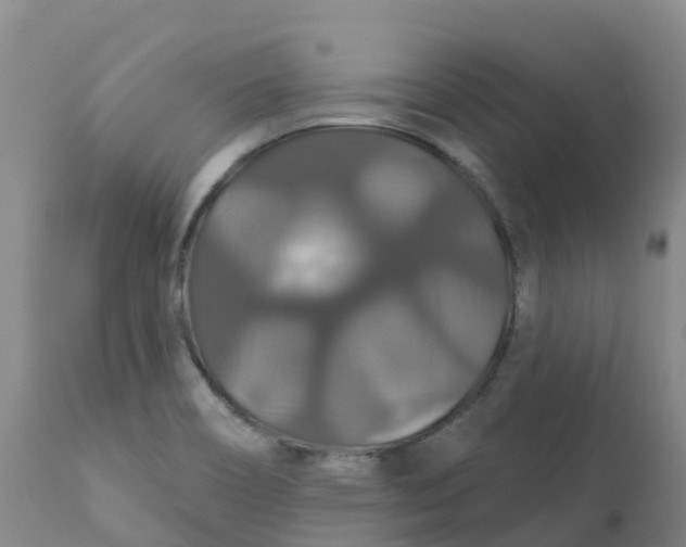 X0000111821466200908131511