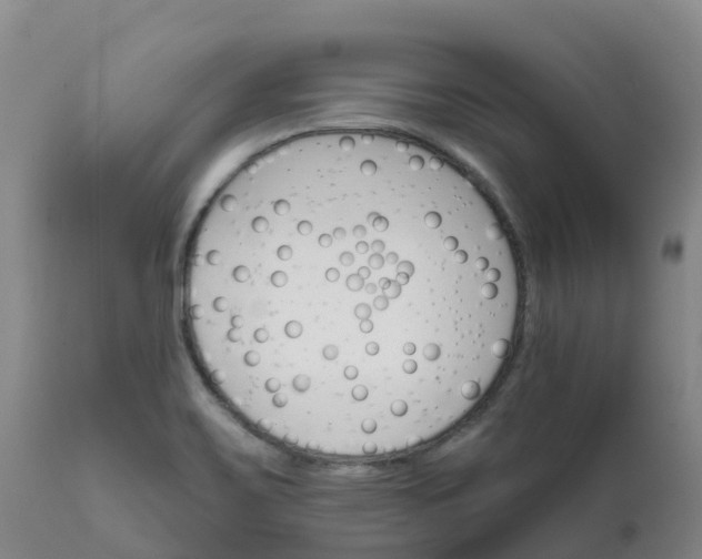 X0000111821467200908131511