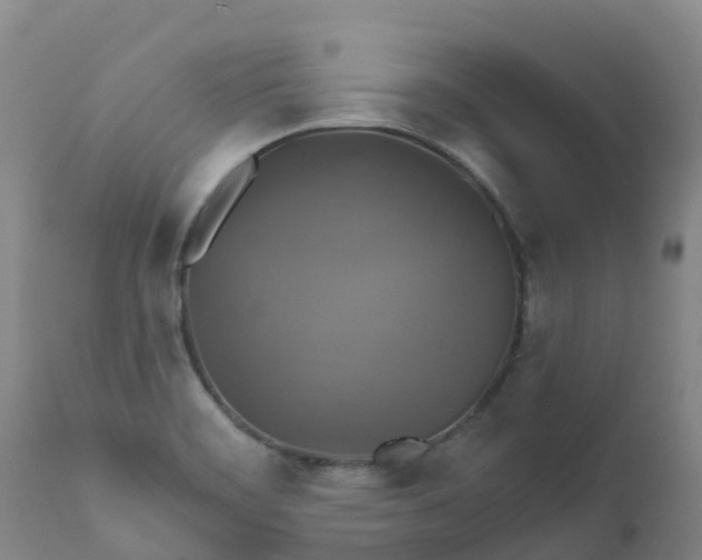 X0000111821468200908131511