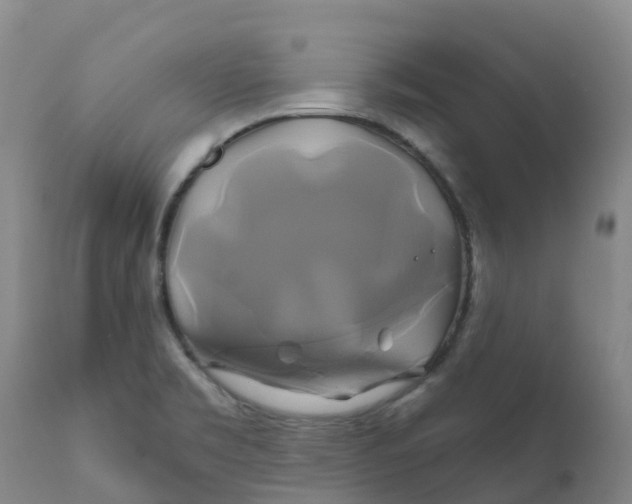 X0000111821469200908131511