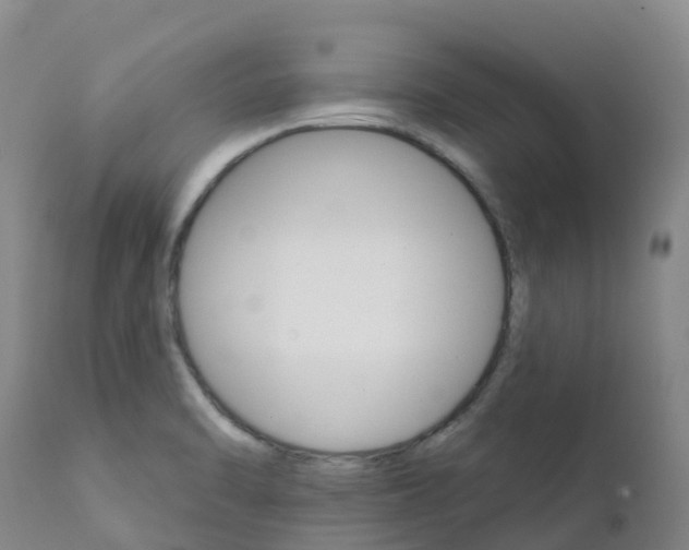 X0000111821470200908131511