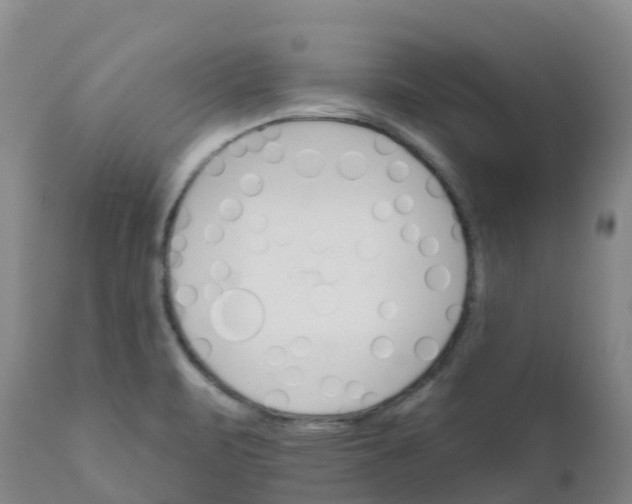 X0000111821471200908131511