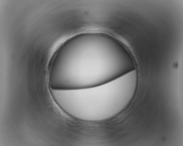 X0000111821472200908131511