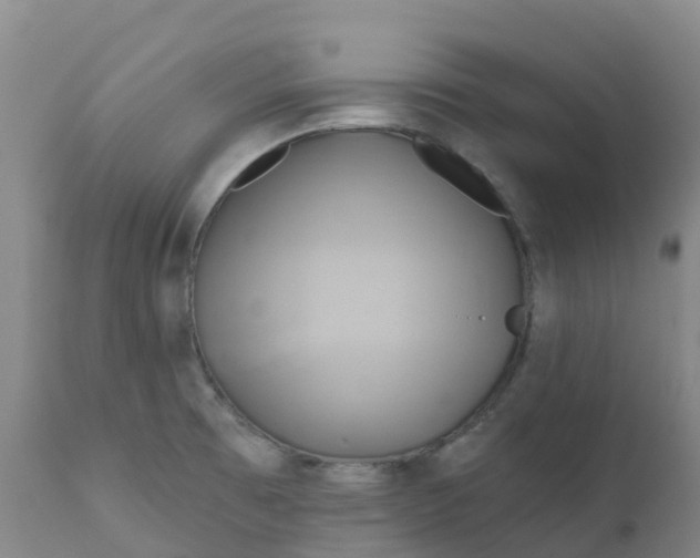 X0000111821473200908131511