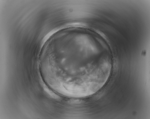 X0000111821474200908131511