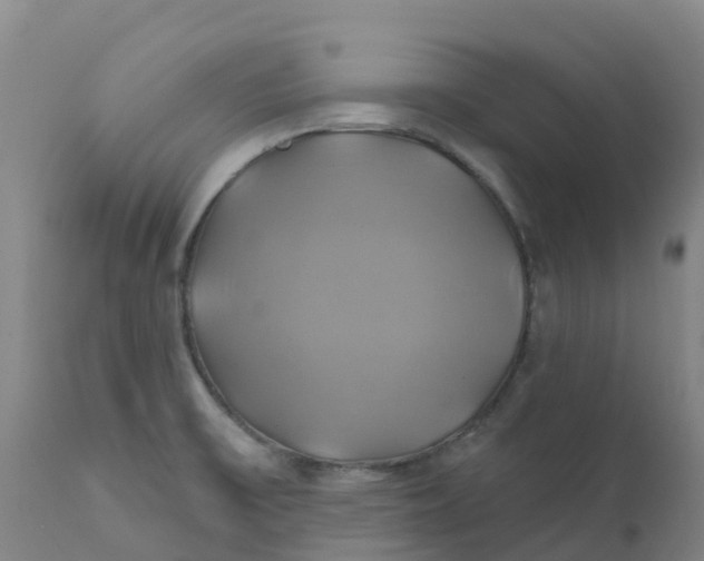 X0000111821475200908131511