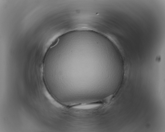 X0000111821476200908131511