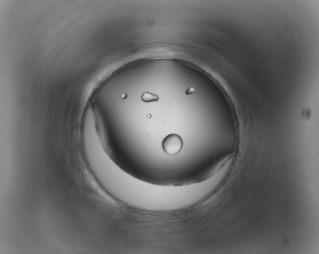 X0000111821477200908131511