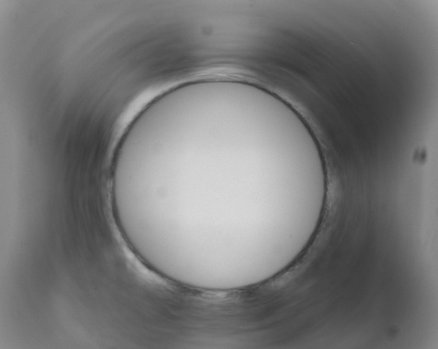 X0000111821478200908131511