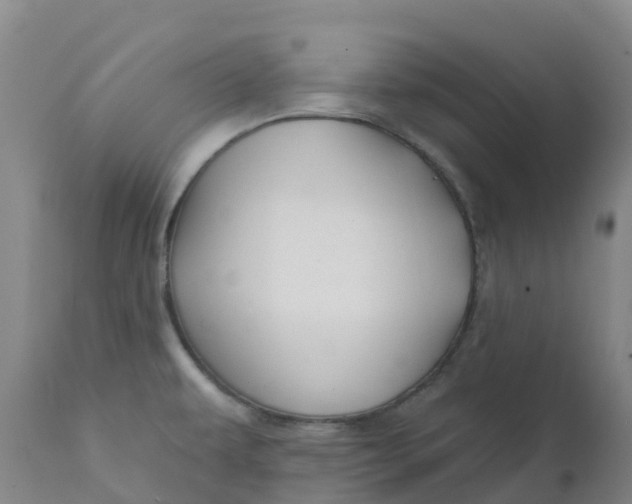 X0000111821479200908131511