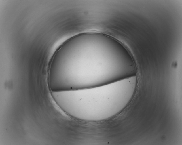 X0000111821480200908131511