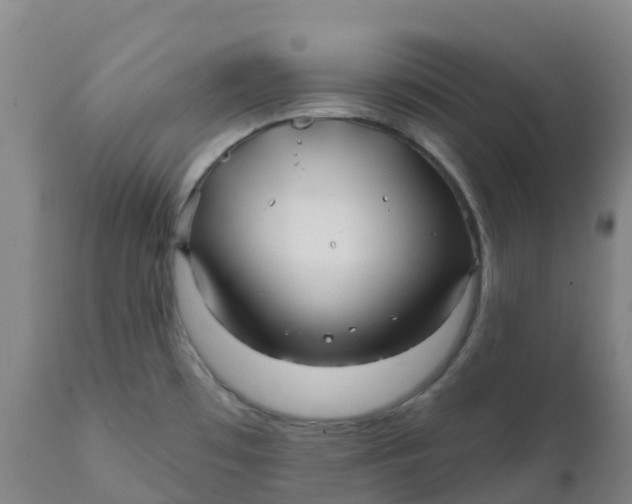 X0000111821481200908131511