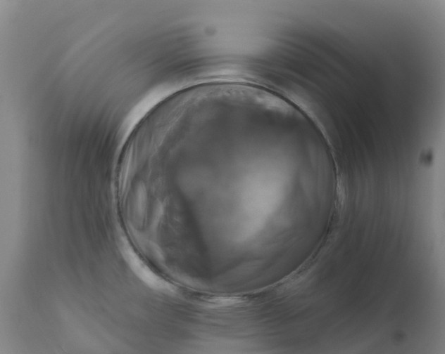 X0000111821482200908131511