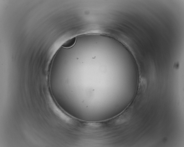 X0000111821483200908131511