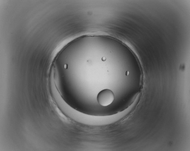 X0000111821485200908131510