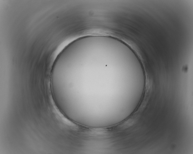 X0000111821486200908131510