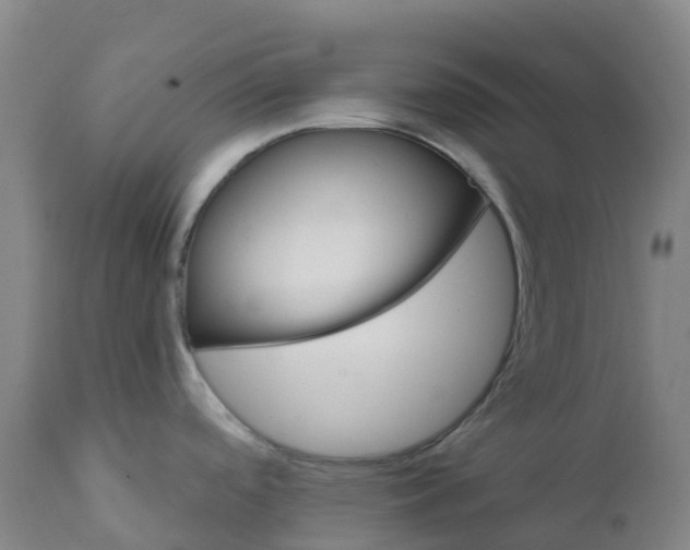 X0000111821488200908131510