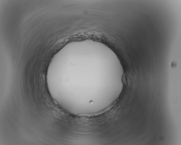 X0000111821489200908131510