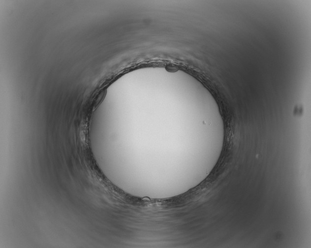 X0000111821490200908131510