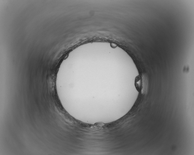 X0000111821491200908131510