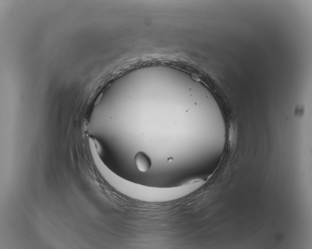 X0000111821492200908131510