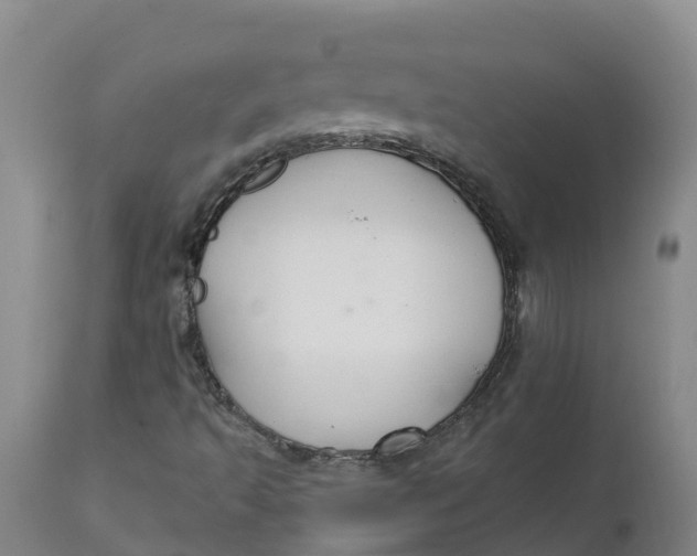 X0000111821493200908131510