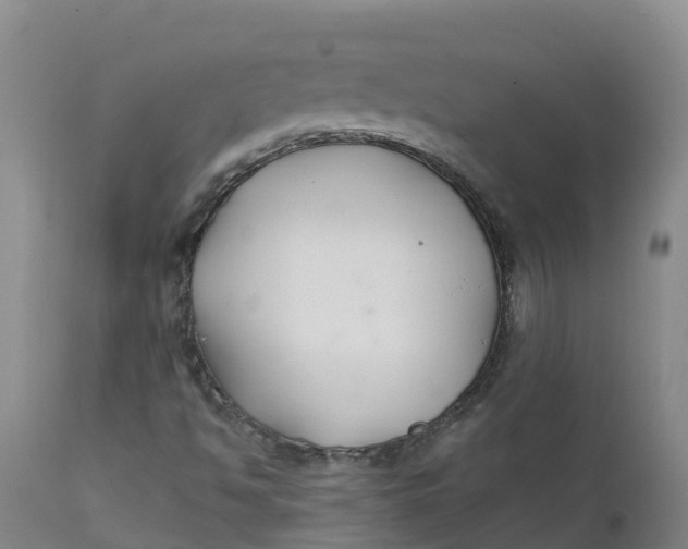 X0000111821494200908131510