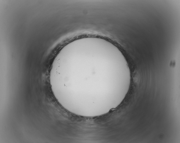 X0000111821495200908131510