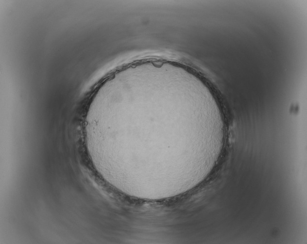 X0000111821496200908131510