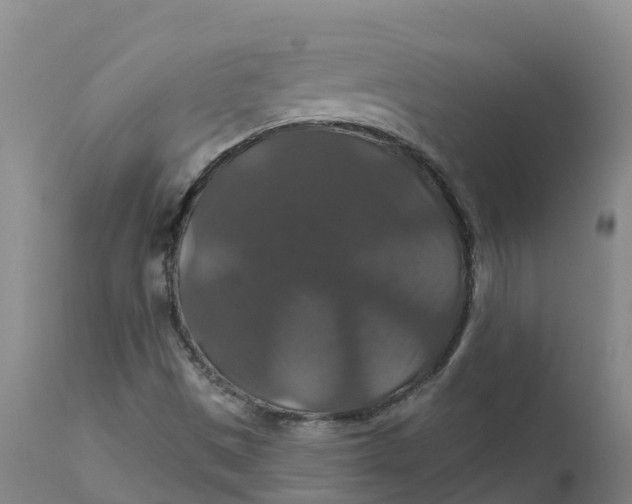 X0000111821497200908131510