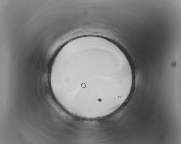 X0000111821498200908131510