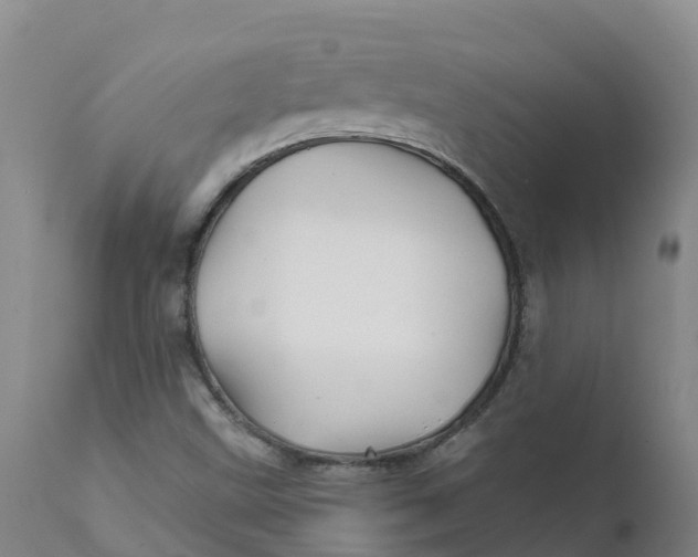 X0000111821499200908131510