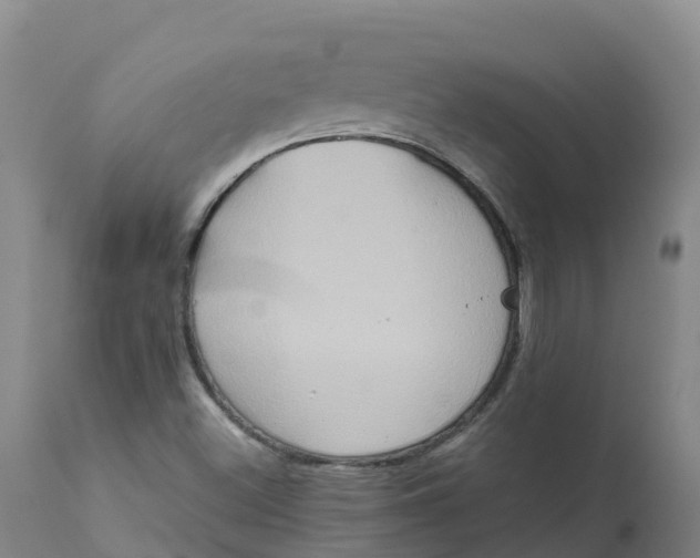 X0000111821500200908131510