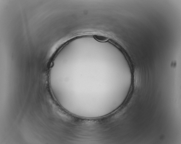 X0000111821501200908131510