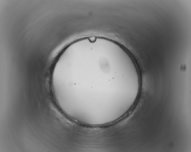 X0000111821502200908131510