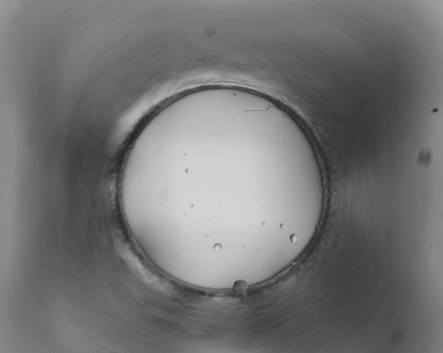 X0000111821503200908131510