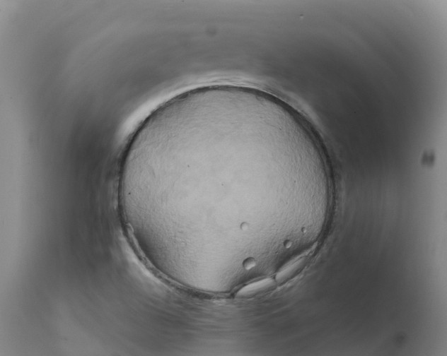 X0000111821504200908131510