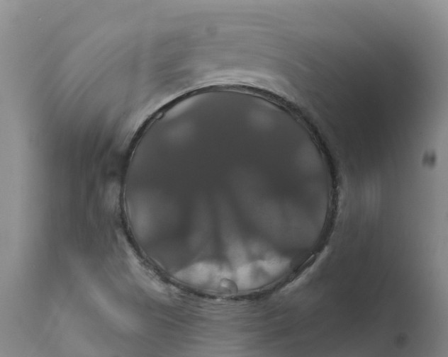 X0000111821505200908131510