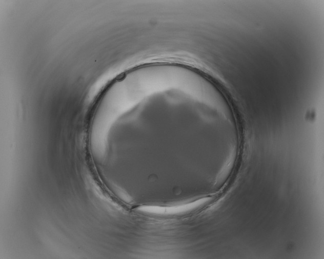 X0000111821506200908131510