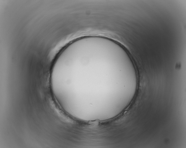 X0000111821507200908131510