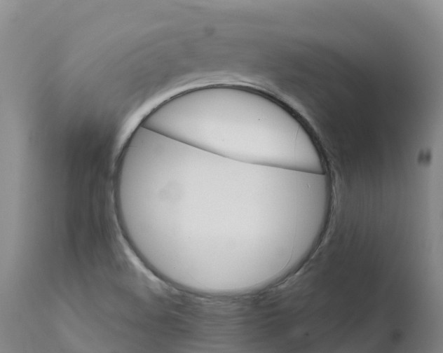 X0000111821508200908131510