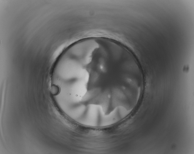 X0000111821509200908131510