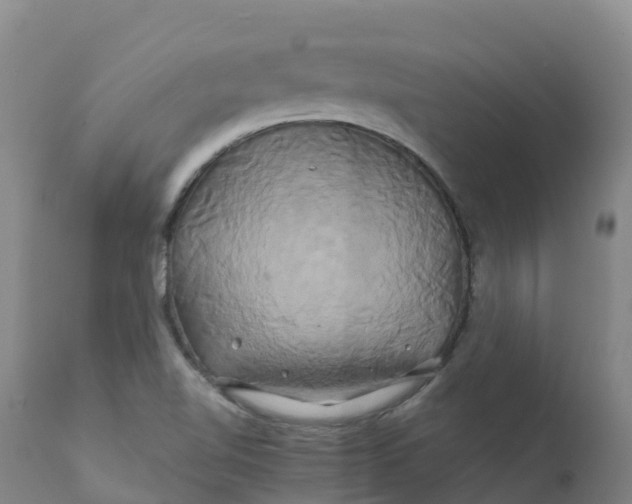 X0000111821510200908131510