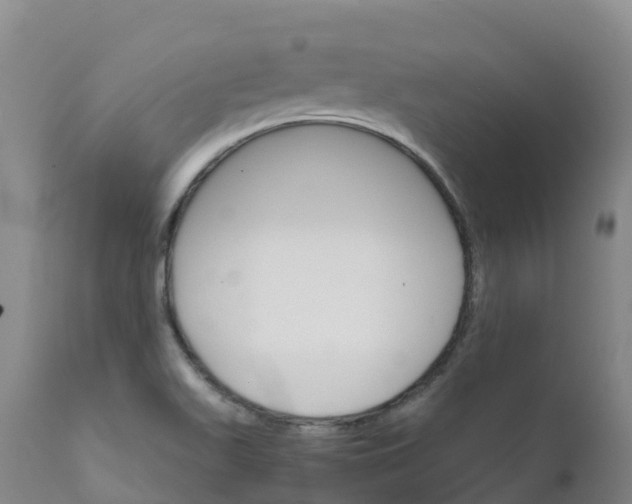 X0000111821511200908131510