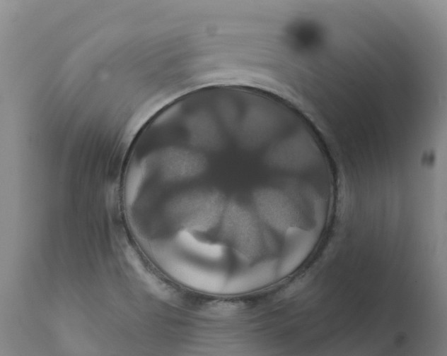 X0000111821513200908131510